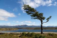 Tierra del Fuego_5