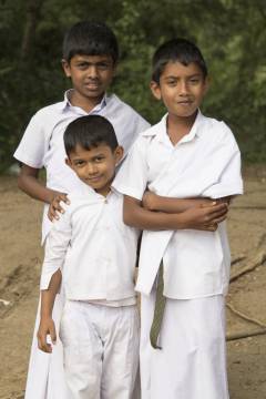5_IMG_0413 trat
