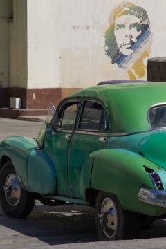 4_MG_0236 trat