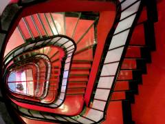 4_DSCN3896 trat