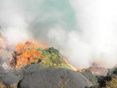 12_DSCN5800 trat