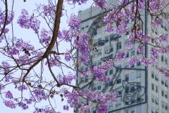 Buenos Aires_3