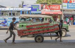 17_IMG_1046 trat