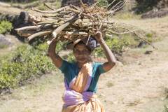 10_MG_0015 trat